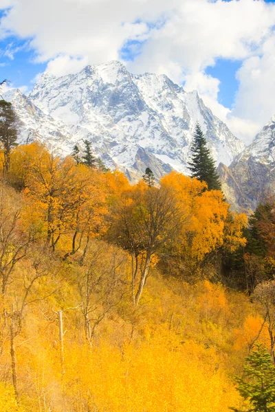 Pemandangan gunung musim gugur Stok Foto Bebas Royalti