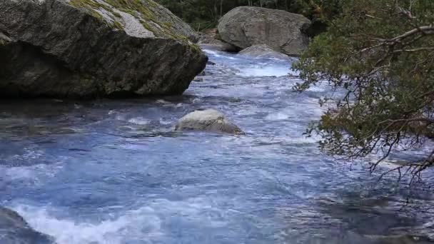 Rivière de montagne