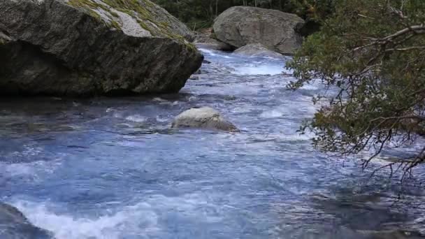 Rio das montanhas — Vídeo de Stock