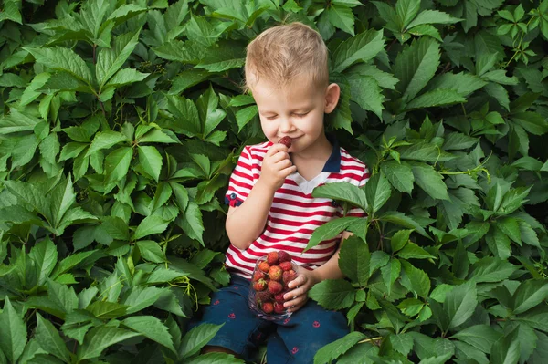 Jongen met bessen. — Stockfoto