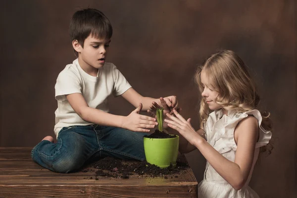 Children with flower Stock Picture