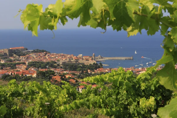 Harbour, Collioure - Franciaország — Stock Fotó