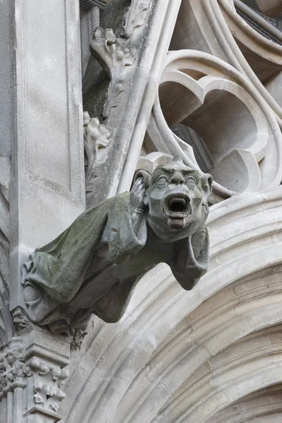 Gárgola - Basílica de Saint-Nazaire, Carcasona - Francia —  Fotos de Stock