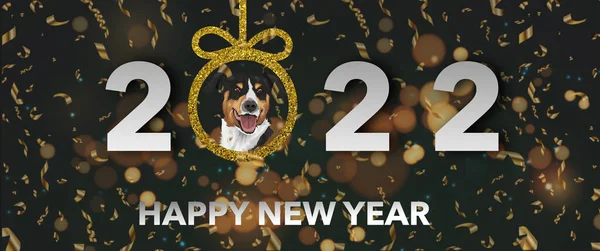 Happy New Year 2022 Dog Black Gold Background — Stockfoto