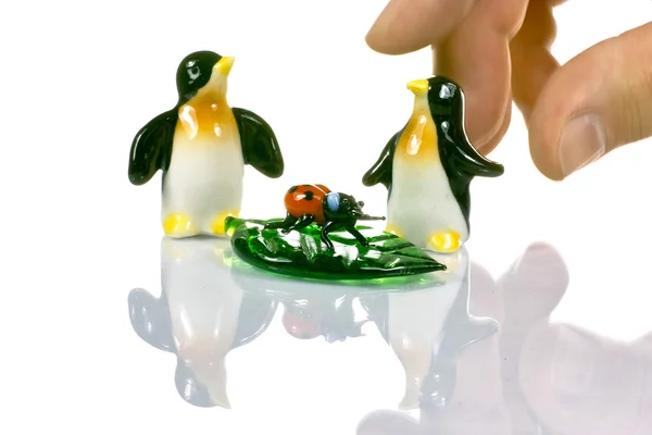 Twee pinguïns lieveheersbeestje en een master's hand ceremonie. — Stockfoto