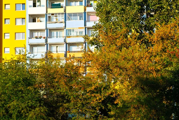 市内の秋の色. — ストック写真