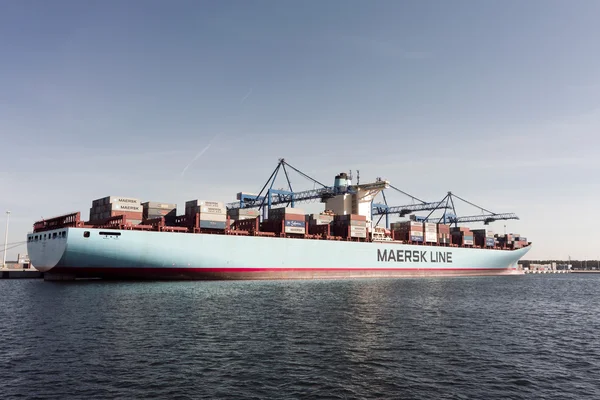 Containerschiff edith maersk in Danzig — Stockfoto