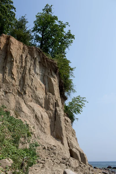 cliff haritasında Flora.