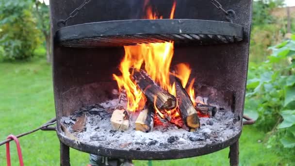 Branden på grillen. — Stockvideo