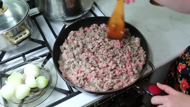 Preparazione delle lasagne . — Video Stock