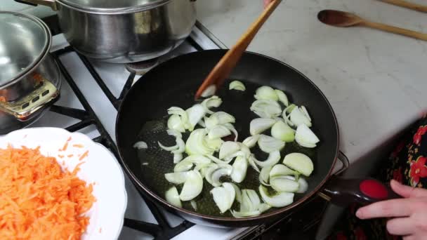 Preparazione delle lasagne . — Video Stock