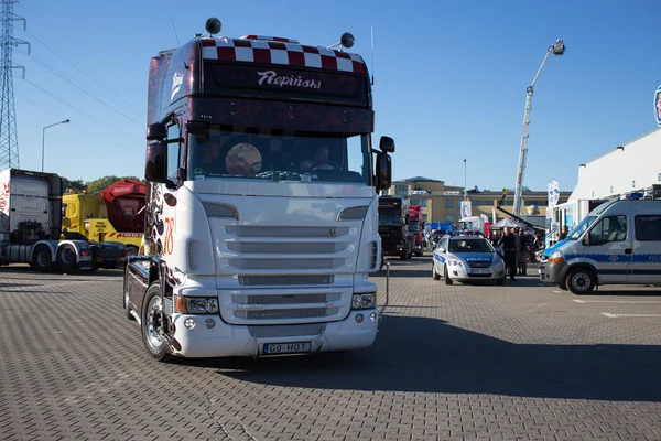 Bayan scania. — Stok fotoğraf