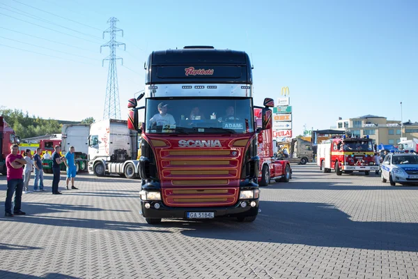 Bayan scania. — Stok fotoğraf