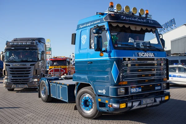 Bayan scania. — Stok fotoğraf