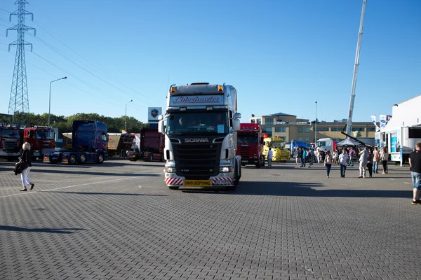 Bayan scania. — Stok fotoğraf