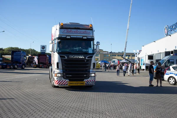 Bayan scania. — Stok fotoğraf