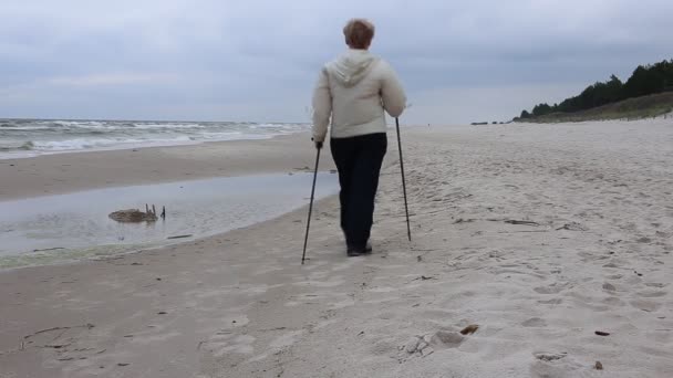 Nordic walking. — Stock video