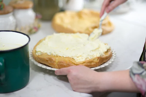 Pastel de Cárpatos . —  Fotos de Stock