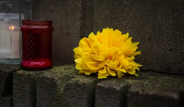 The Octave of All Saints. The final resting place of heroes. — Stock Photo, Image