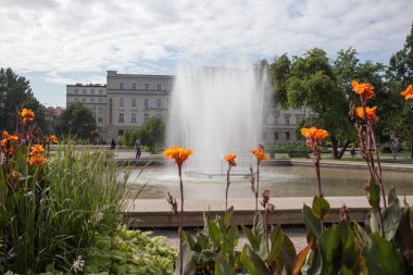 eski şehir, lublin, Polonya