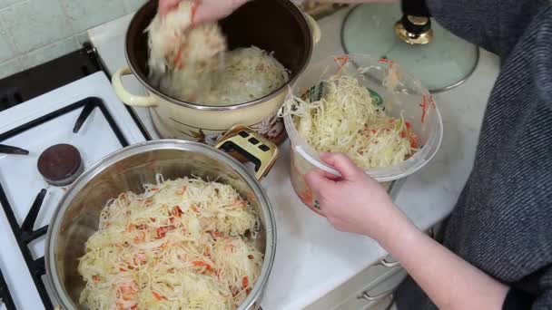 Bigos traditionele Poolse schotel. — Stockvideo