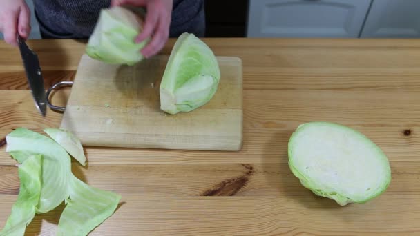 Bigos plat polonais traditionnel .
