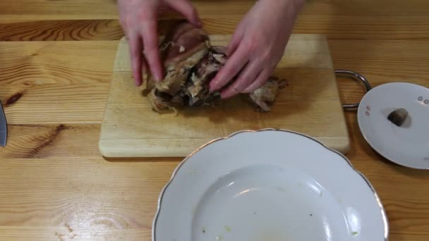 Bigos plat polonais traditionnel . — Video