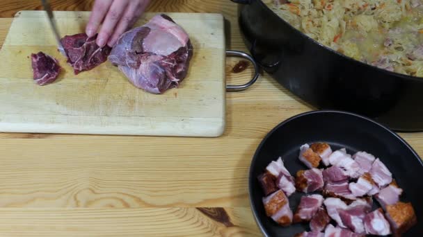 Bigos plat polonais traditionnel . — Video