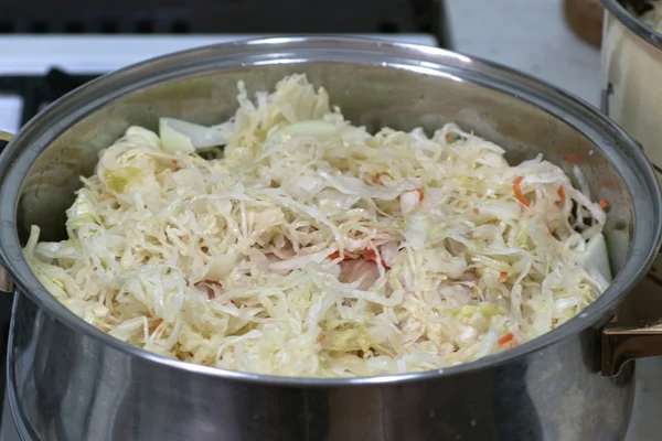 Bigos 전통 폴란드 요리. — 스톡 사진