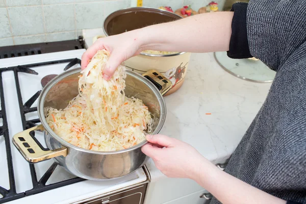 Bigos prato tradicional polonês . — Fotografia de Stock