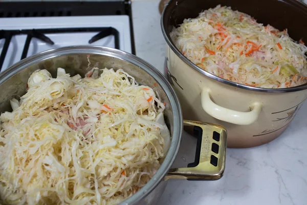 Bigos традиционное польское блюдо . Лицензионные Стоковые Изображения