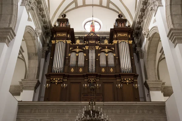 Interiör den gamla katedralen i zamosc, Polen. — Stockfoto