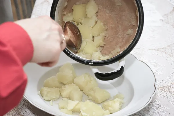 Agurk suppe fad klar til at spise . - Stock-foto