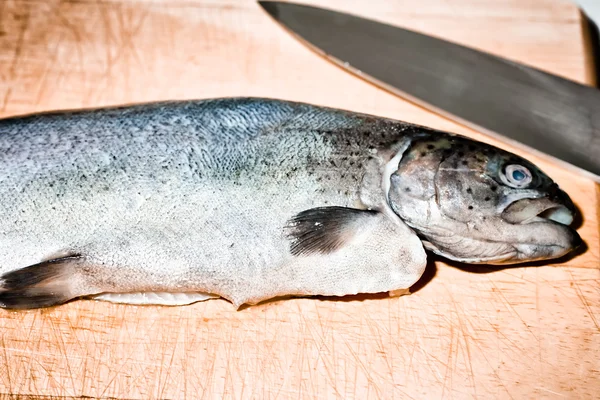 Trout. — Stock Photo, Image