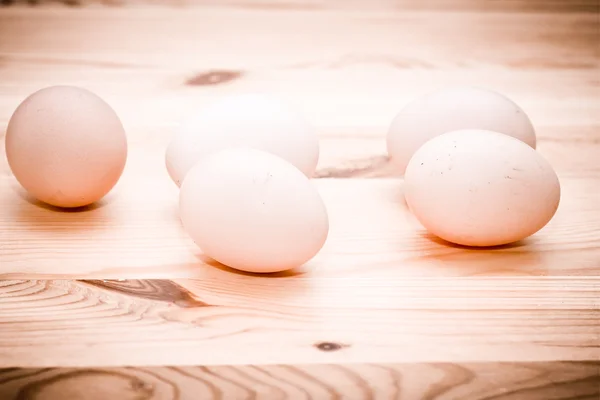 Egg. – stockfoto