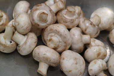 Pizza ev Lehçe koşullarında.