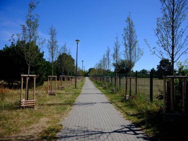 Dışarıya park et. Güneşli sıcak bir gün, yürümek ve dinlenmek için güzel bir yer. Gdansk, Polonya.