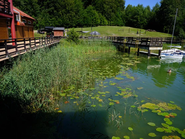 Journée Chaude Estivale Sur Lac Brodno Dans Région Kashubian Pologne — Photo