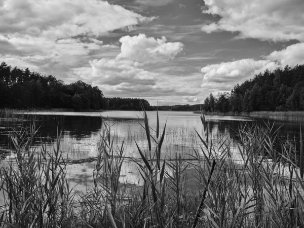 黒と白の自然景観 ポーランドのストルピノ湖 — ストック写真