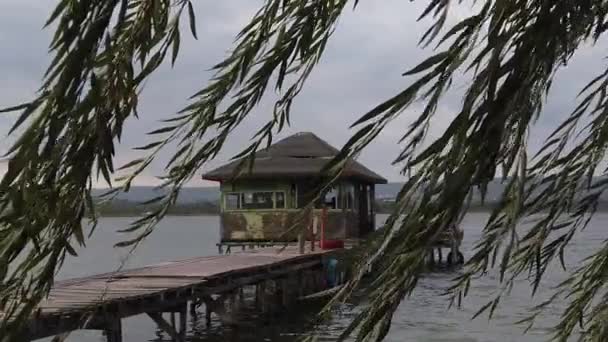 Old abandoned lakehouse on the shore of a lake — Stock Video