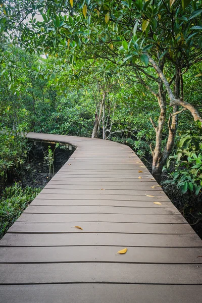 Caminho de madeira entre a floresta — Fotografia de Stock