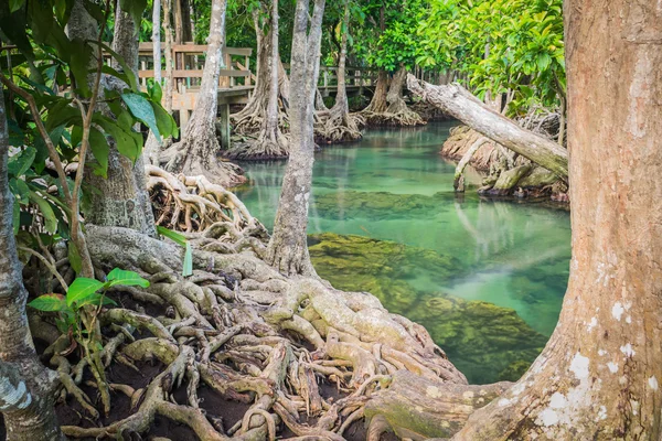 Klong song nam Pier, Krabi, Thailand — Stockfoto