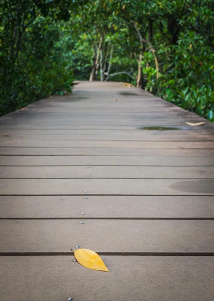 Een blad op de houten wandeling manier — Stockfoto