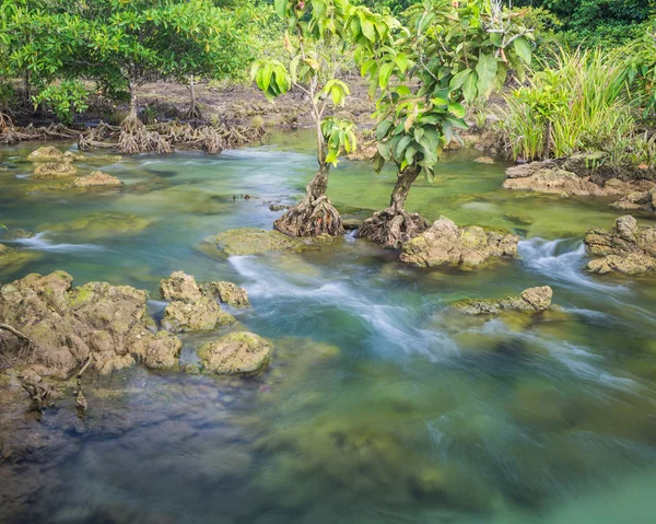 Клонг пісні нам пристані, Krabi, Таїланд — стокове фото