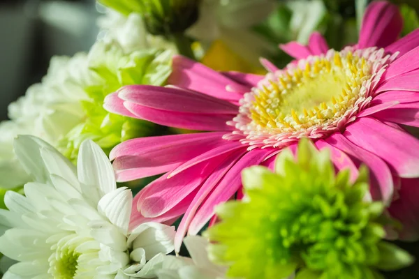 Ramo de flores — Foto de Stock