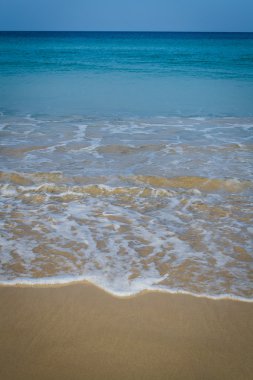 plaj ve tropikal deniz