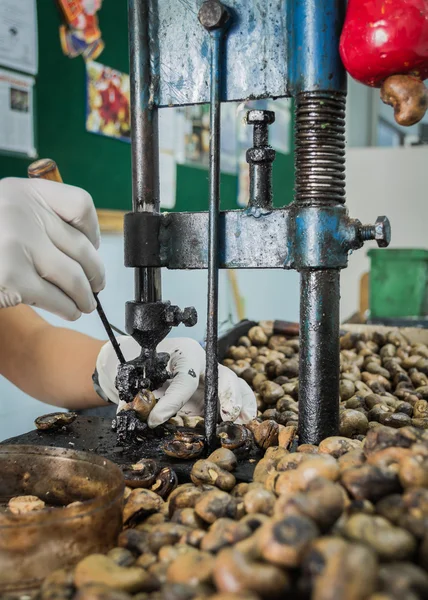 kaşu somun çatlama