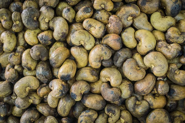 Cashew nut background — Stock Photo, Image