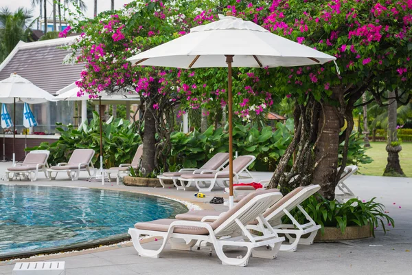 Divani con ombrelloni intorno alla piscina — Foto Stock