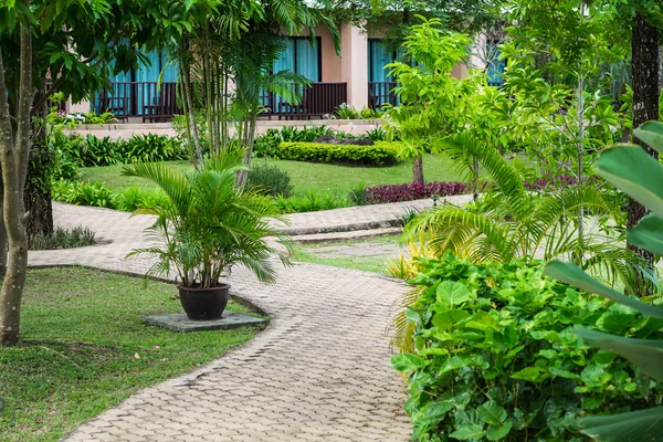 Giardino verde nel resort — Foto Stock